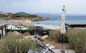 B&B Mistral
